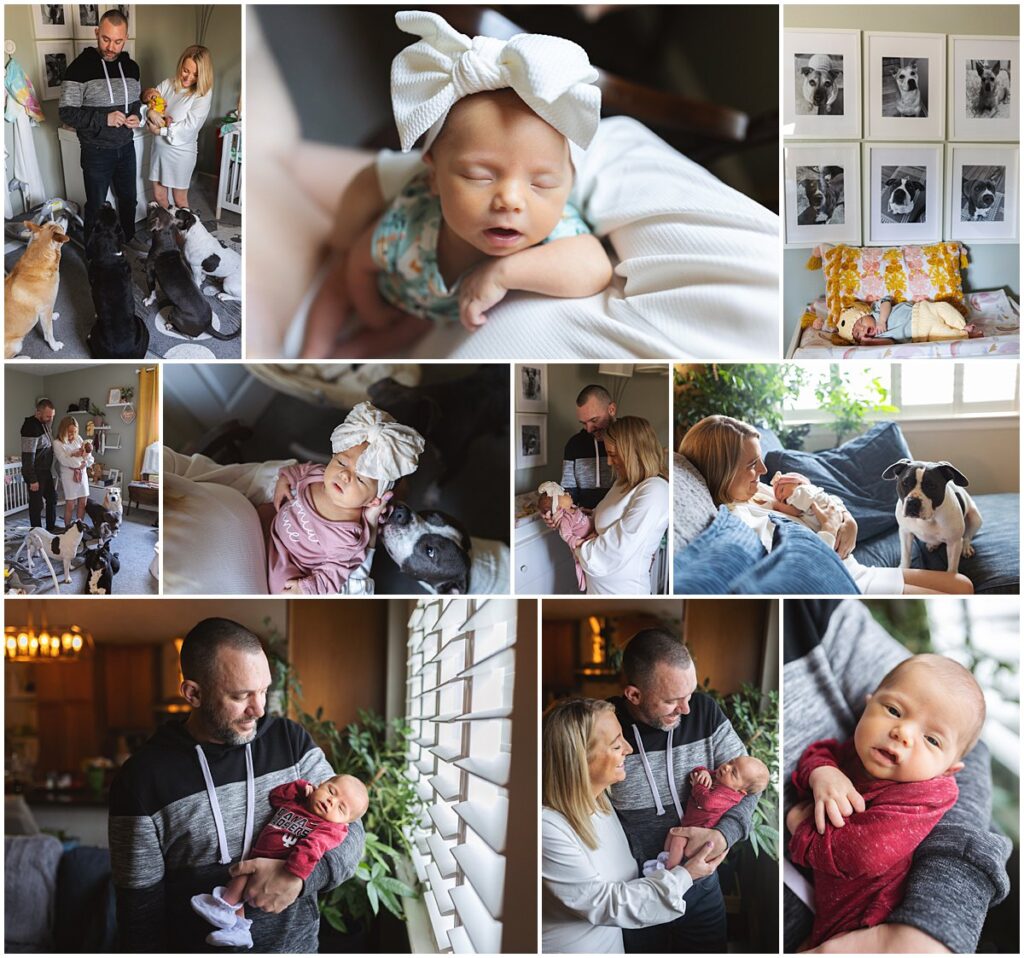 Lifestyle in-home newborn session with parents, baby girl, and family dogs